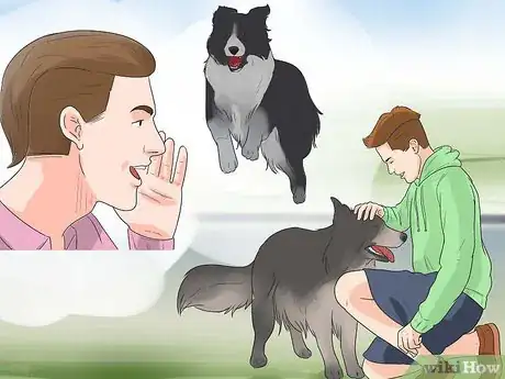 Image titled Prepare Your Dog to Go Off‐Leash Step 15