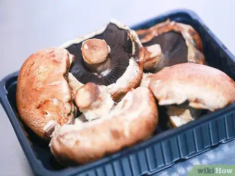 Image titled Make a Mushroom Spore Print Step 1