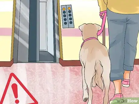 Image titled Protect Pets from Urban Dangers Step 6