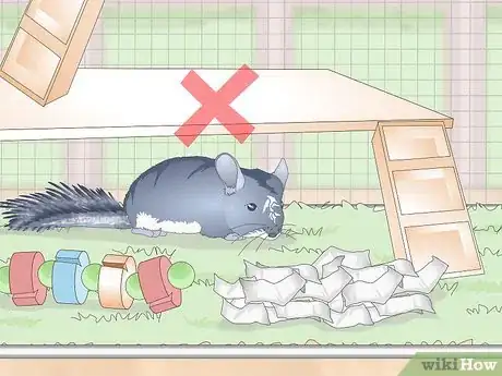 Image titled Prevent Chinchillas from Developing Hairballs Step 9