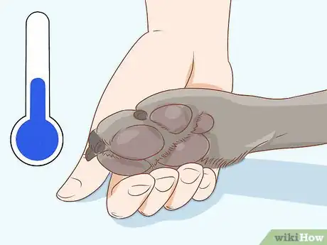 Image titled Treat Frostbite in Dogs Step 13