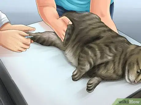 Image titled Administer Injectable Medication to a Cat Step 3