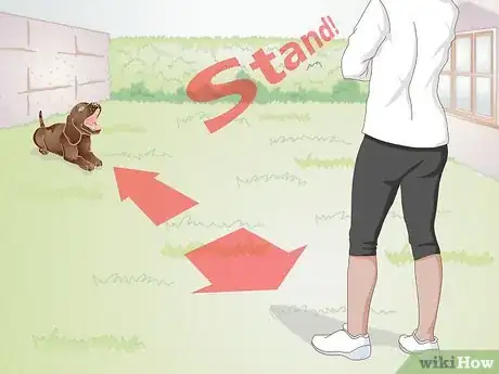 Image titled Train a Dog to Stand Up Step 11
