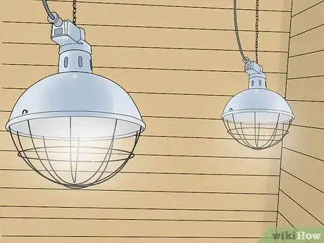 Image titled Deliver a Foal Step 4