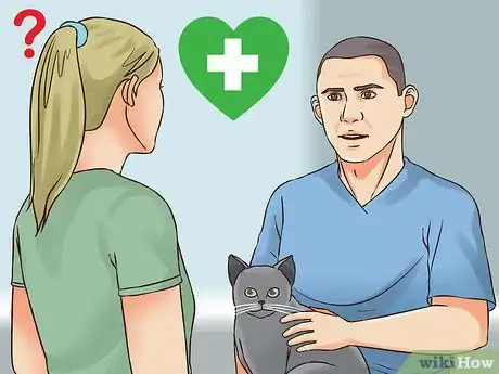 Image titled Help an Indoor Cat Being Tormented by an Outdoor Cat Step 7