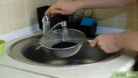 Image titled Make Elderberry Syrup Step 1