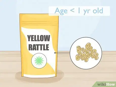 Image titled Sow Yellow Rattle Step 3