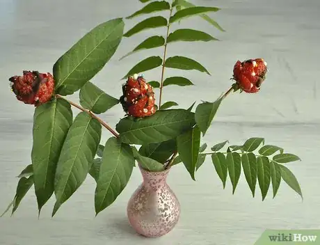 Image titled Make Strawberry Flowers Step 9