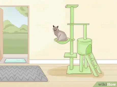 Image titled Choose a Cat Scratching Tree Step 11