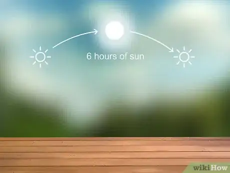 Image titled Grow Tiger Lilies Step 1