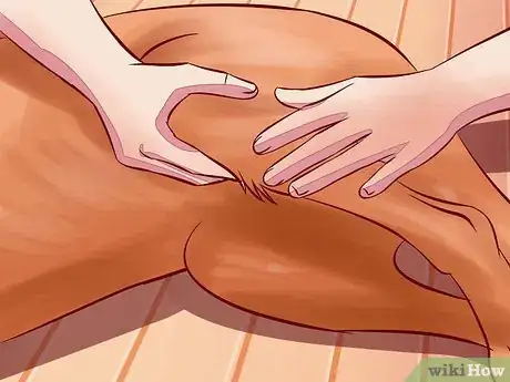 Image titled Treat Arthritis in Dogs Step 9