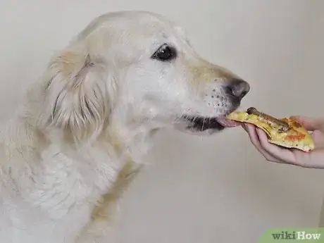 Image titled Make Pooch Pizza for a Dog Step 10