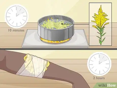 Image titled Use Medicinal Plants for Good Health Step 12