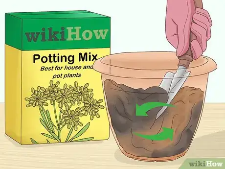 Image titled Grow Dill Indoors Step 2