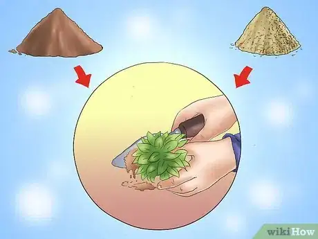 Image titled Plant Evergreen Shrubs Step 13