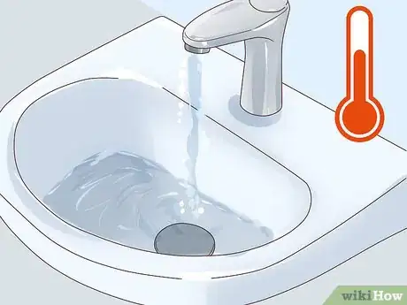 Image titled Show a Guinea Pig Step 1