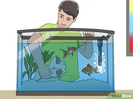 Image titled Ensure Your Pet Fish Are Healthy Step 1