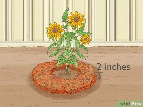 Image titled Grow Black Eyed Susan Flowers Step 7