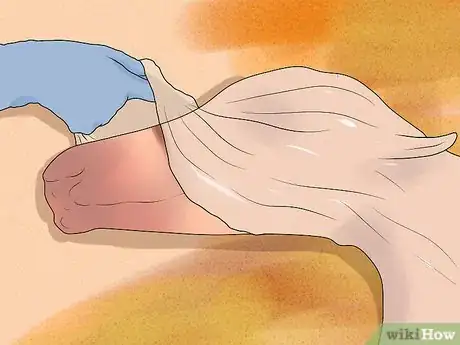 Image titled Prepare a Mare for Foaling Step 16