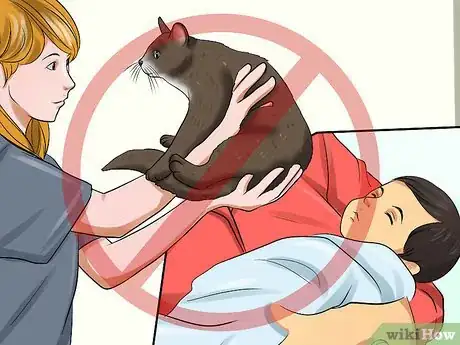 Image titled Prepare Your Cat for a New Baby Step 22