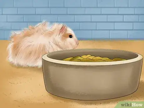 Image titled Treat Tumors in Hamsters Step 8