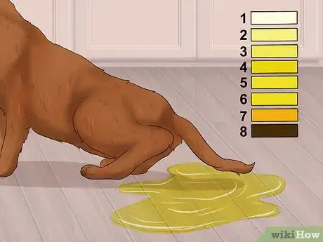 Image titled Care for a Havana Brown Cat Step 8