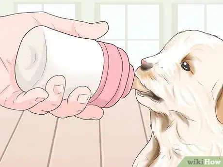 Image titled Be Prepared for the Arrival of Puppies Step 12