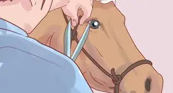 Make Model Horse Tied Halters