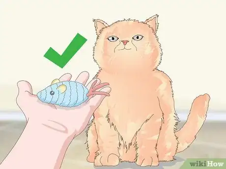 Image titled Manage Wool Sucking in Cats Step 4