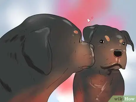 Image titled Get Dogs to Mate Step 18