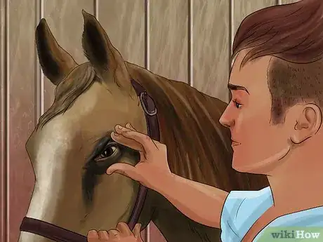 Image titled Treat Skin Disorders in Horses Step 12