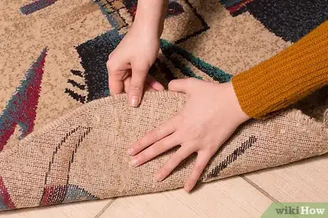 Image titled Spot Moth Damage on a Wool Area Rug Step 4