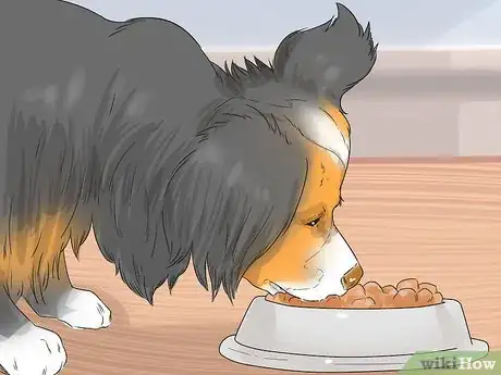 Image titled Identify and Correct Unwanted Dog Behaviors Step 17