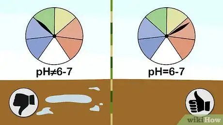 Image titled Plant a Sun Lover Step 2