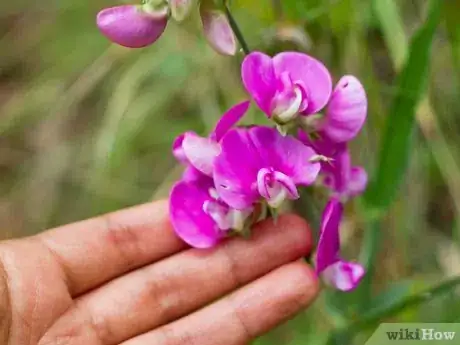 Image titled Cope in the World of Ego Step 2