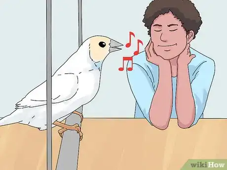 Image titled Choose a Finch Step 5