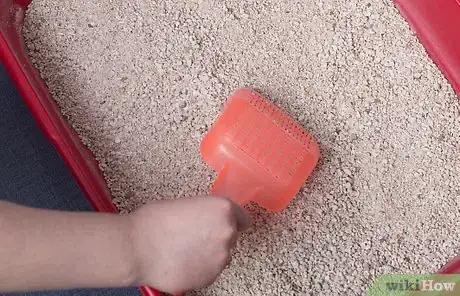 Image titled Protect Your Cat or Kitten from Parasites Step 7