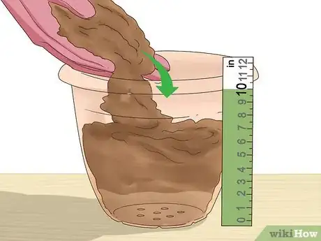 Image titled Grow Dill Indoors Step 1