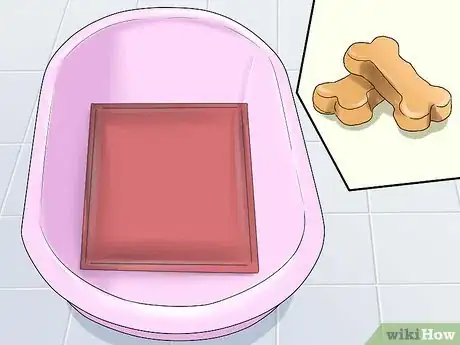 Image titled Bathe a Shih Tzu Puppy Step 4