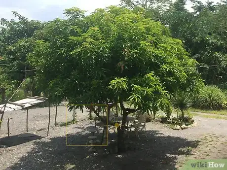 Image titled Create the Golden Hour Look in VSCO on iPhone or iPad Step 1