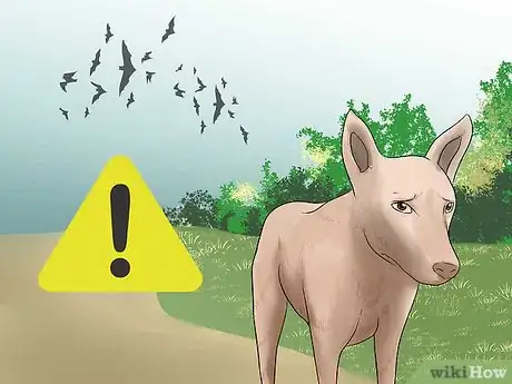 Image titled Know Naturally when an Earthquake Will Strike Step 2