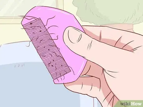 Image titled Treat Crabs (Pubic Lice) Step 8
