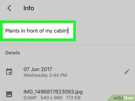 Image titled Add Desriptions to Google Photos on iPhone or iPad Step 4