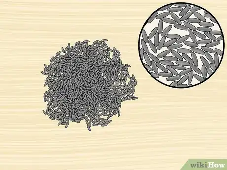 Image titled Identify a Rice Variety Step 3