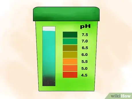 Image titled Plant Pyracantha Step 04