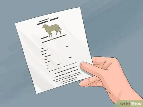 Image titled Have a Successful Visit to the Vet Step 7
