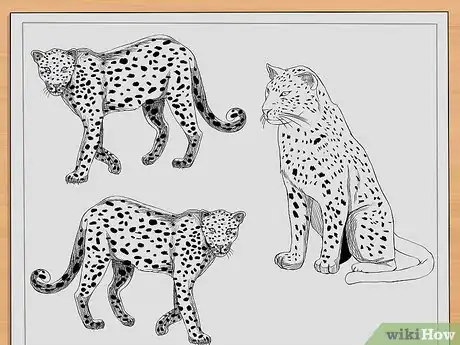 Image titled Draw Leopards Step 10