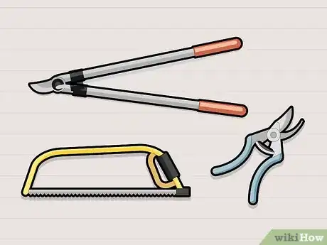 Image titled Prune Pecan Trees Step 4