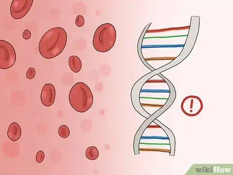 Image titled Treat Macrocytic Anemia Step 2