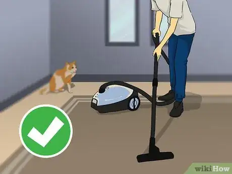 Image titled Deal With Being Allergic to Cats Step 4